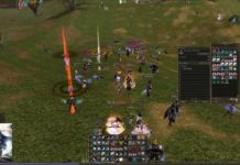 В чём отличие PVP от PVE сервера Lineage 2