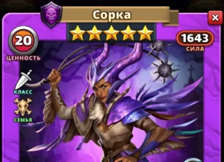 Сорка